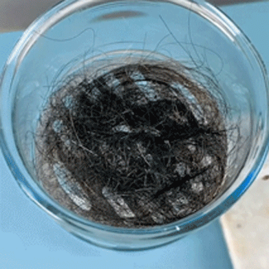 🔥Buy 5 Get 5 Free🔥Pipe Dredge Deodorant